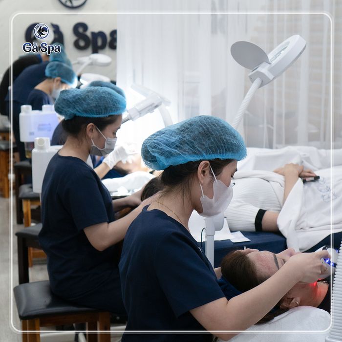 Không gian sang trọng và dịch vụ chuyên nghiệp tại Gà Spa Sóc Trăng