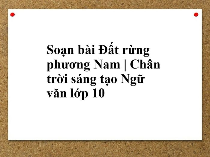 Hình ảnh minh họa sống động về thiên nhiên phương Nam (Nguồn: Tổng hợp từ internet) - Ảnh 1