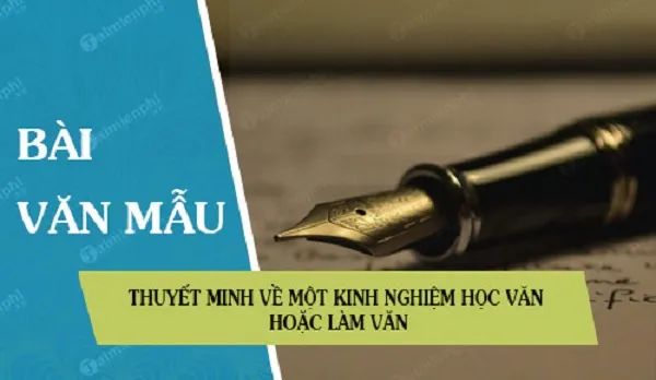 Hình ảnh minh họa học sinh tự học (Nguồn: Internet)