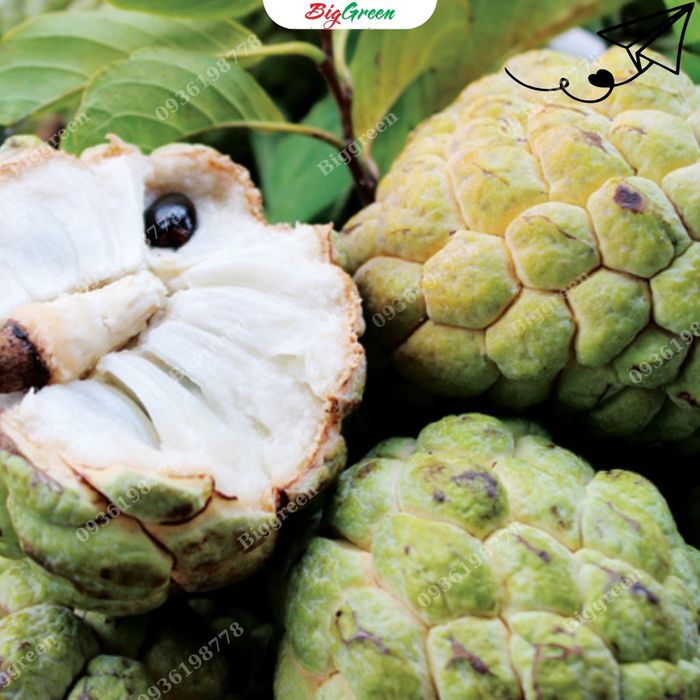 Hình ảnh không gian mua sắm tại BigGreen - Nơi chất lượng và an toàn được đặt lên hàng đầu