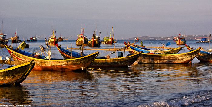 Hình ảnh minh họa sinh động (Nguồn: internet) - Ảnh số 1