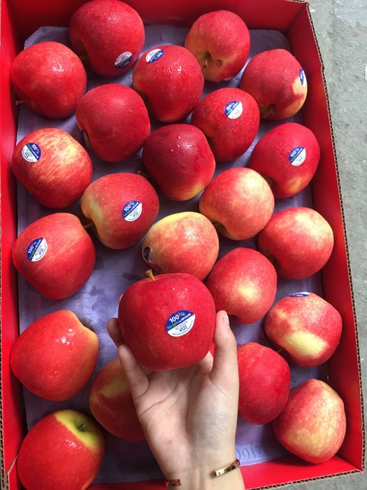 Hình ảnh đầu tiên về DP FRUITS - Nét tươi ngon bắt mắt