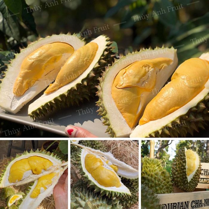Hình ảnh 2 - Sự tươi ngon đạt chuẩn quốc tế từ Thủy Anh Fruits