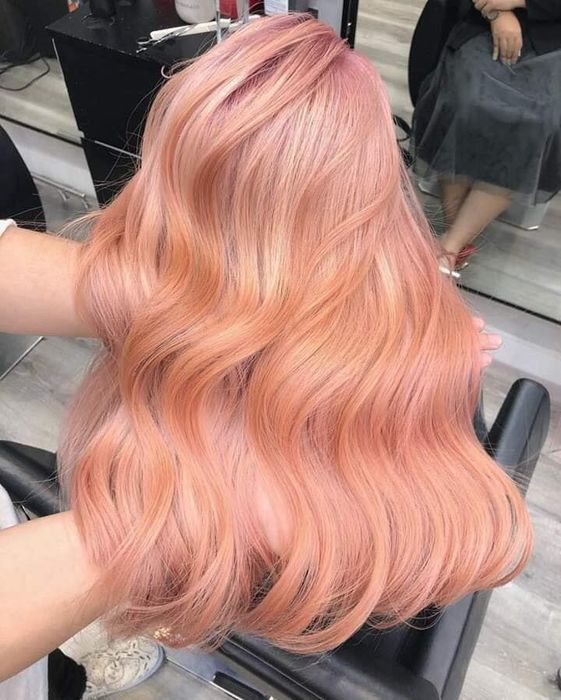 Những tác phẩm tóc nghệ thuật được tạo nên bởi bàn tay vàng của Salon Phúc Sài Gòn