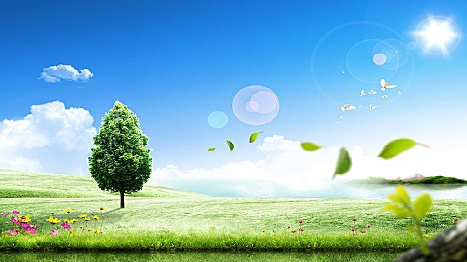 Hình ảnh minh họa số 1: Thiên nhiên kỳ vĩ (Nguồn: internet)