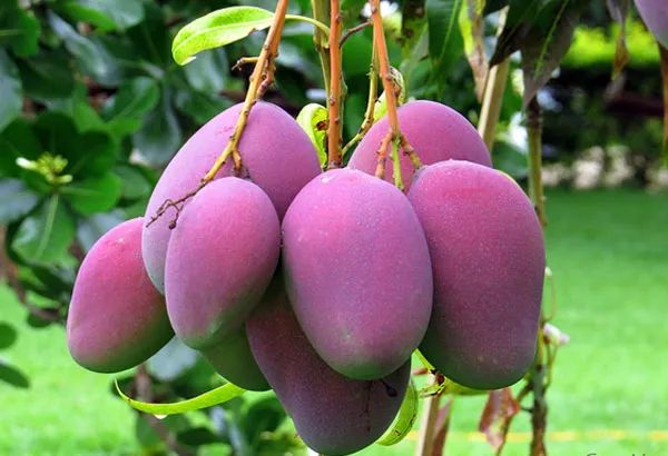 Hình ảnh minh họa số 2 - Nguồn từ bộ sưu tập hình ảnh chất lượng cao