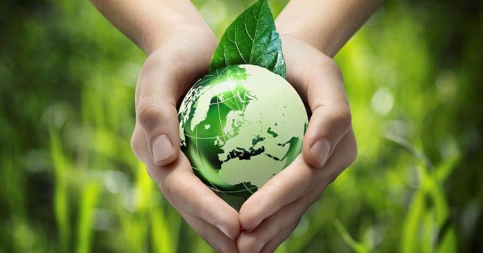 Hình ảnh minh họa: Nhóm bạn trẻ thu gom rác bãi biển (Nguồn: Internet)