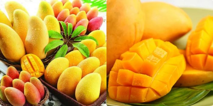 Hình ảnh minh họa số 2 - Nguồn từ bộ sưu tập ảnh chất lượng cao