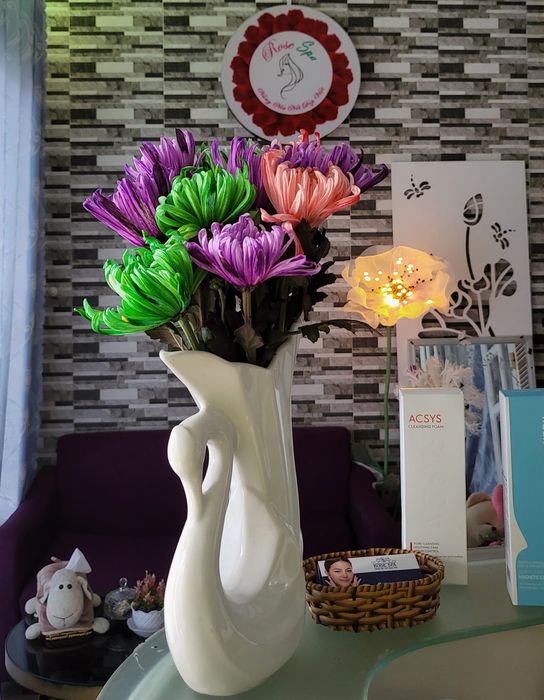 Không gian thư giãn tại Rose Spa (ảnh 2)