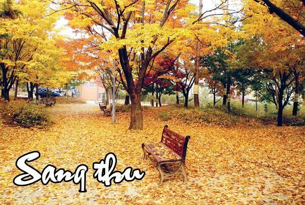 Hình ảnh minh họa sống động, nguồn internet, ảnh 1