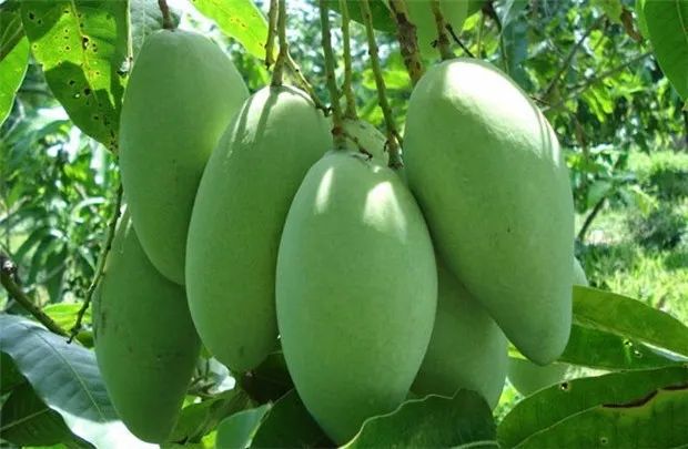 Hình ảnh minh họa số 1 - Nguồn từ bộ sưu tập hình ảnh chất lượng cao