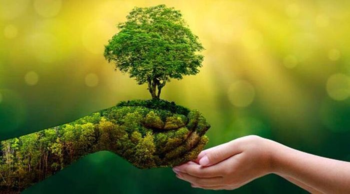 Hình ảnh minh họa số 1: Vẻ đẹp thiên nhiên kỳ vĩ (Nguồn: internet)