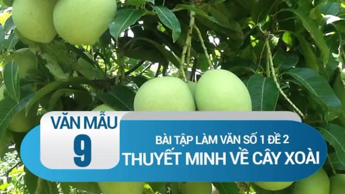 Hình ảnh minh họa số 1 - Nguồn từ thư viện hình ảnh đa dạng trên internet