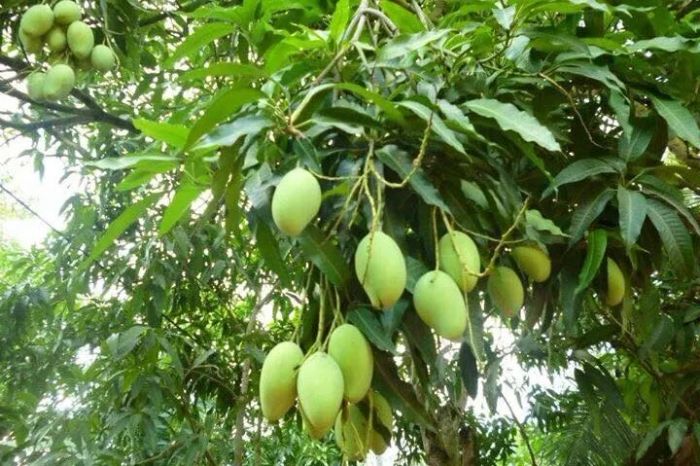 Tác phẩm minh họa số 1 - Nét vẽ từ nguồn sáng tạo vô tận (Nguồn: internet)