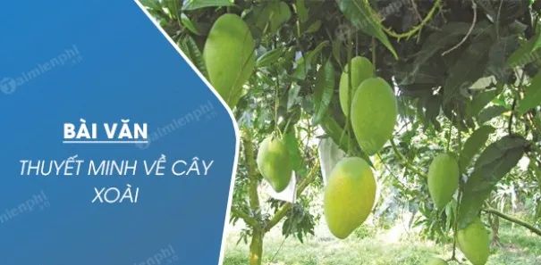 Hình ảnh minh họa số 1 - Nguồn từ bộ sưu tập hình ảnh chất lượng cao