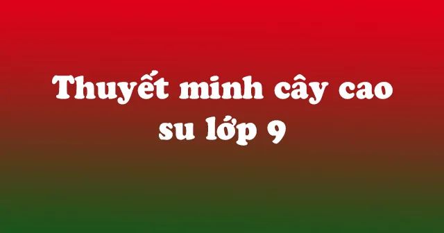 Ảnh Minh Họa (Nguồn Internet) - Hình 1