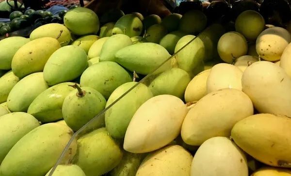 Hình ảnh minh họa số 1 - Nguồn từ thư viện hình ảnh trực tuyến
