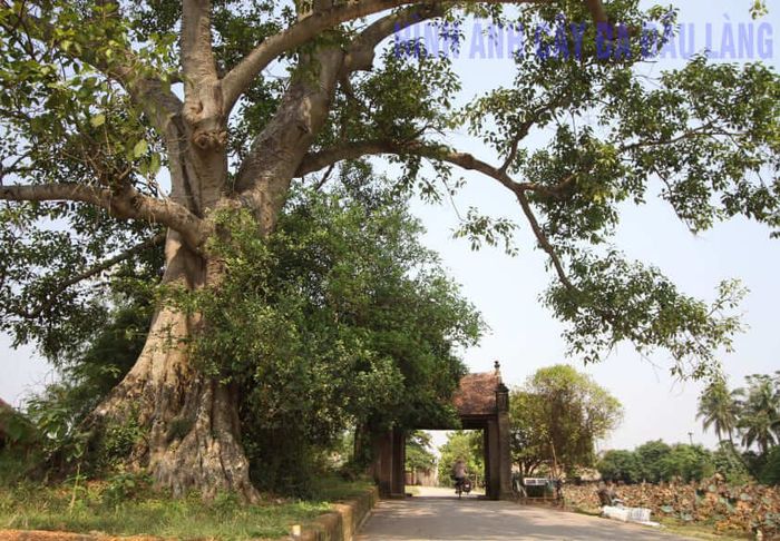 Ảnh Minh Họa (Nguồn Internet) - Hình 2