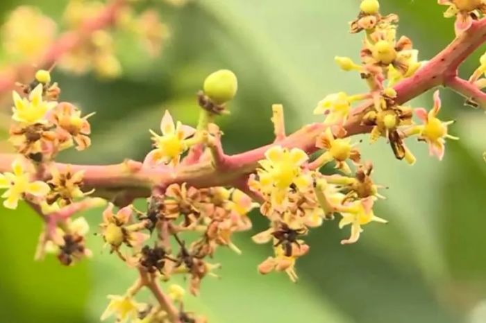 Hình ảnh minh họa số 1 - Nguồn từ kho tư liệu trực tuyến đa dạng