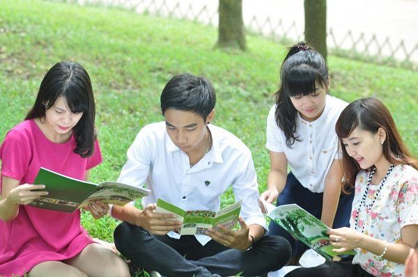 Ảnh minh họa (Nguồn internet) ảnh 1