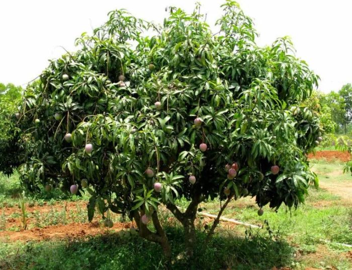 Hình ảnh minh họa số 1 - Nguồn từ bộ sưu tập ảnh chất lượng cao