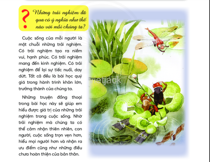 Hình ảnh minh họa sống động - Ảnh 1 (Nguồn: Internet)