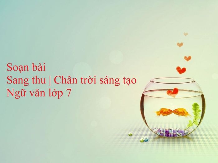 Hình ảnh minh họa (Nguồn internet) - ảnh 1