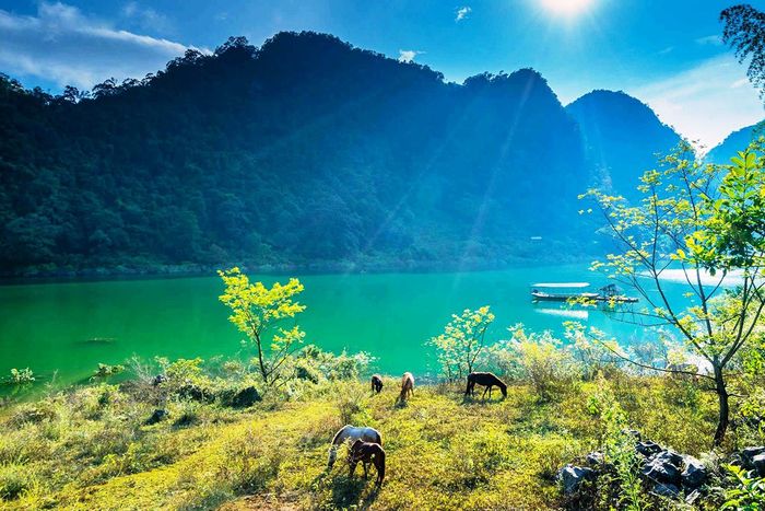 Tác phẩm minh họa đầy cảm hứng (Nguồn: Internet)