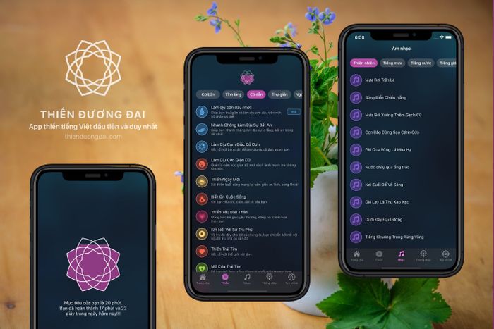 Thiền Đương Đại hình ảnh 1