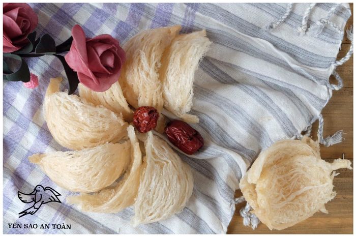Bộ sưu tập yến sào đặc biệt từ Yến Sào An Toàn