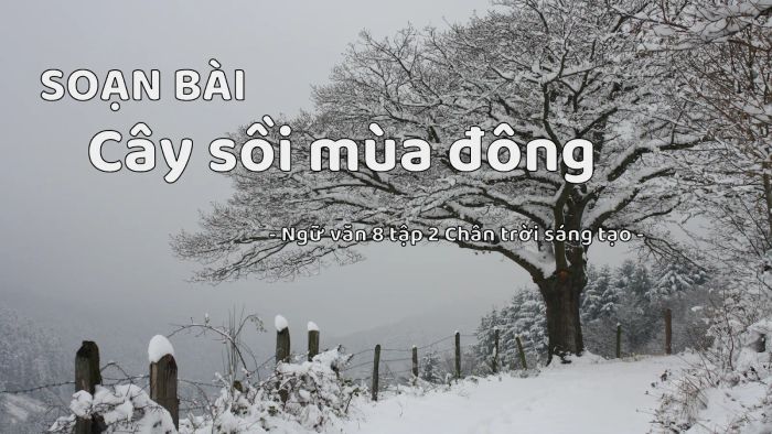 Tuyển tập hình ảnh minh họa đặc sắc cho tác phẩm (Nguồn: Internet)