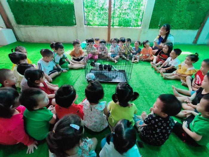 Trường Mầm Non Sao Mai Hình Ảnh 1