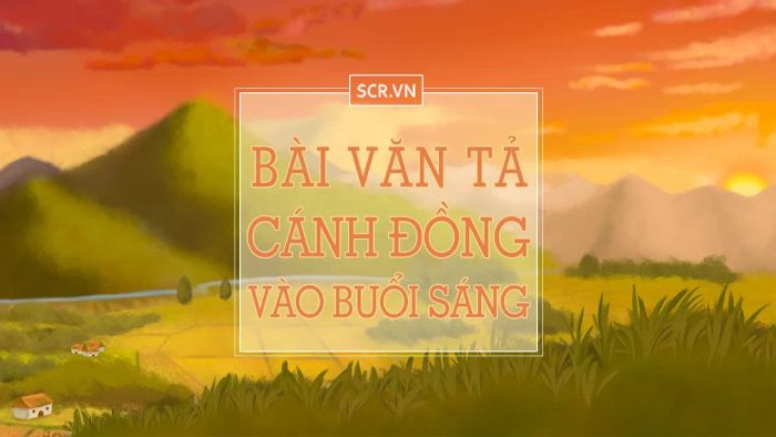Hình ảnh minh họa: Cánh đồng lúa buổi sớm (Nguồn: Internet)