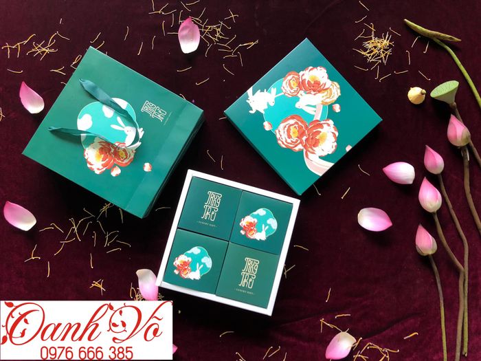 Oanh Võ - Hình ảnh minh họa 2