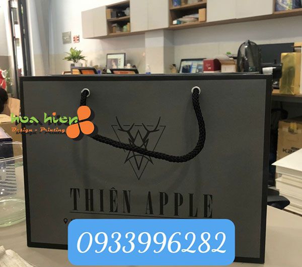Bộ sưu tập mẫu túi giấy In Hòa Hiệp