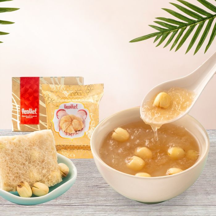 Tổ yến YenViet PureNest - Kết tinh từ bàn tay tinh tế và công nghệ hiện đại