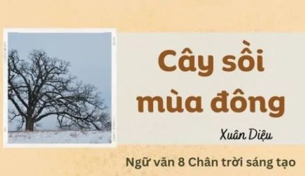 Hình ảnh minh họa sinh động (Nguồn: Internet) - Ảnh 1