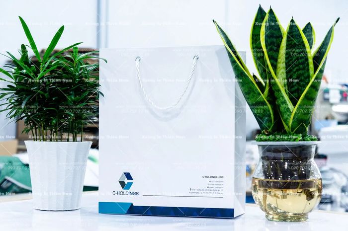 Bộ sưu tập mẫu túi giấy Xưởng In Thiên Nam