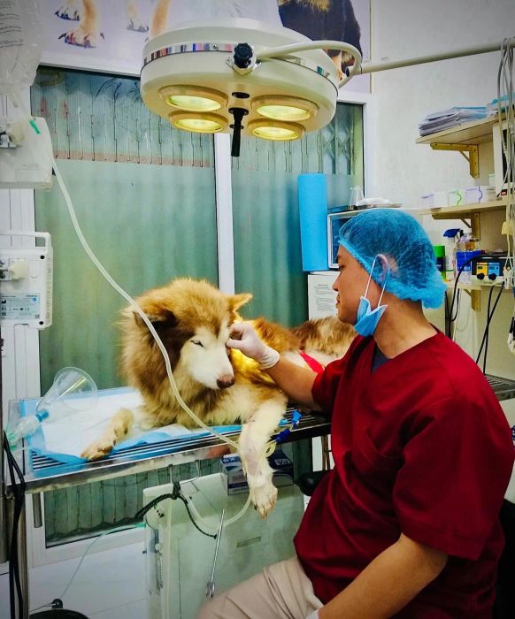 Không gian hiện đại tại The Zoo Pet Clinic