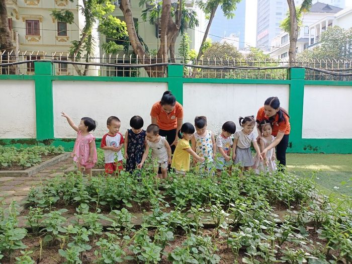 Hình ảnh khuôn viên Trường Mầm non Lômônôxốp - Không gian học tập rộng rãi, nhiều cây xanh với đầy đủ khu vui chơi ngoài trời và phòng học hiện đại đạt tiêu chuẩn ánh sáng học đường