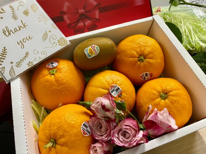 Bộ sưu tập trái cây nhập khẩu đa dạng tại 2B Fruit DC