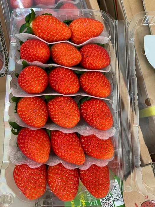 Bộ sưu tập trái cây nhập khẩu đặc biệt tại Daily Fruits - Ảnh 3