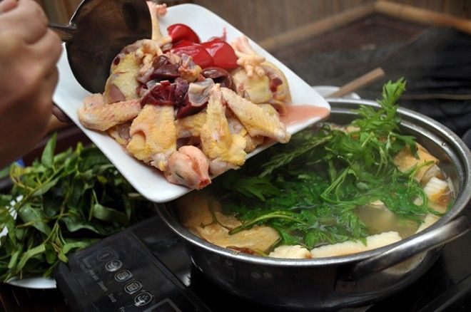 Món ăn tại Nhà hàng - Hình ảnh hấp dẫn