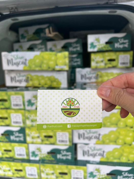 Nho xanh Mỹ thượng hạng - Ảnh 1