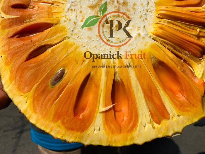 Không gian trưng bày đa dạng tại Opanick Fruit - Ảnh 3