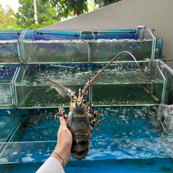 Bể chứa hải sản tươi sống tại nhà hàng Thúng Chai Quán (Ảnh 1)