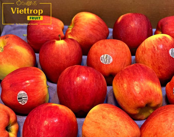 Quy trình đóng gói chuyên nghiệp tại Viettropfruit - Ảnh 3