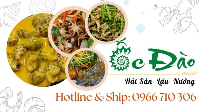 Không gian ấm cúng tại Ốc Đào Đa Tôn (Ảnh 1)