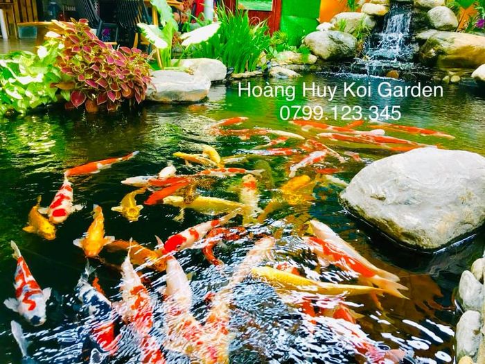 POWER Koi and Garden ảnh 2