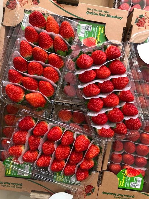 Dâu tây Hàn Quốc hảo hạng - Ảnh 3